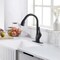Anzzi Accent Single-Handle Matte Black Pull-Down Sprayer Kitchen Faucet KF-AZ031MK - alternate 1